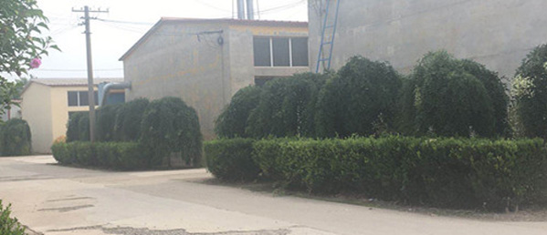 專業的技術團隊，為客戶私人定制